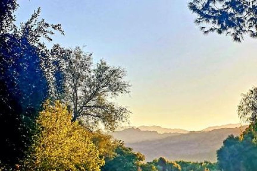 El Solar De Los Olivos