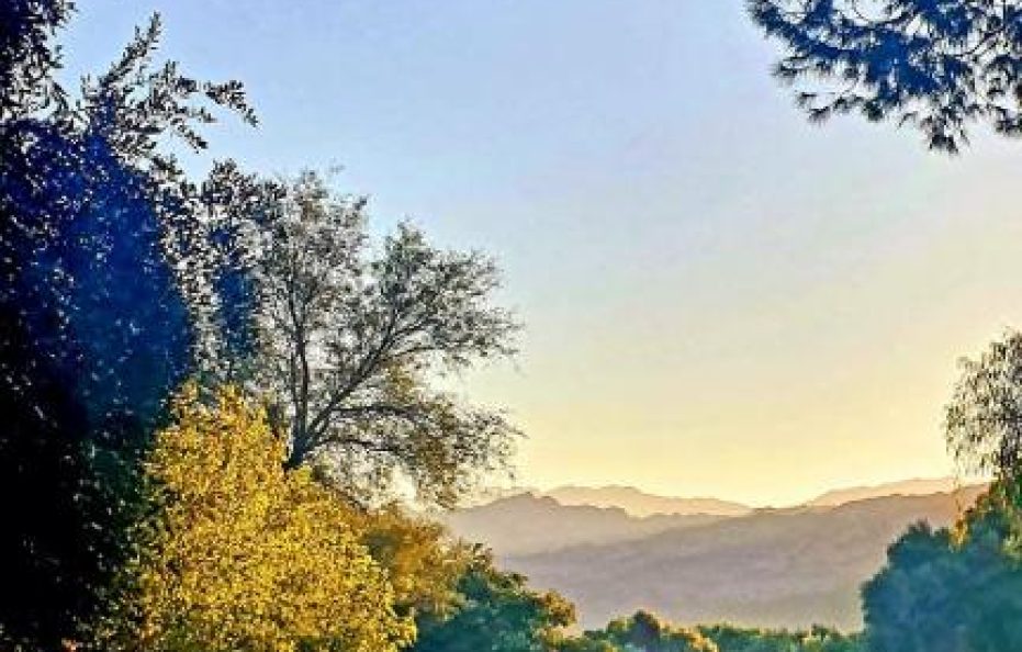 El Solar De Los Olivos