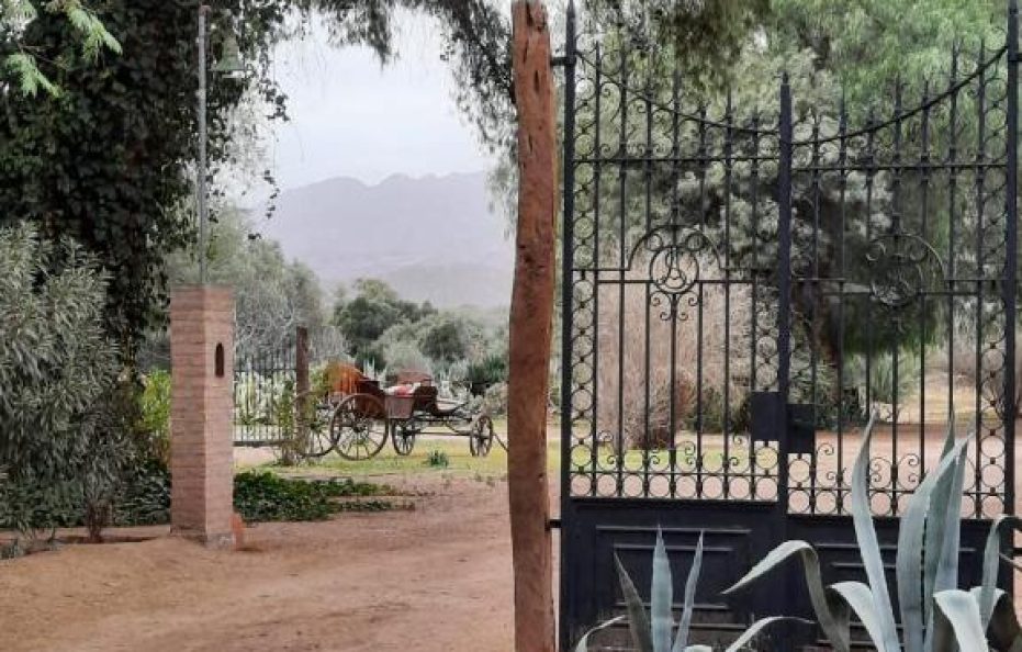 El Solar De Los Olivos