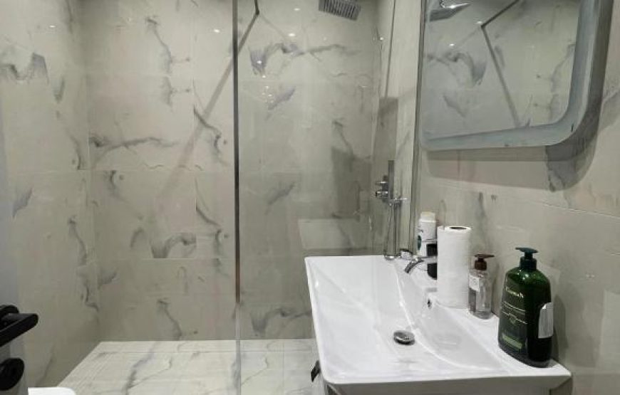 The perfect modern apartament