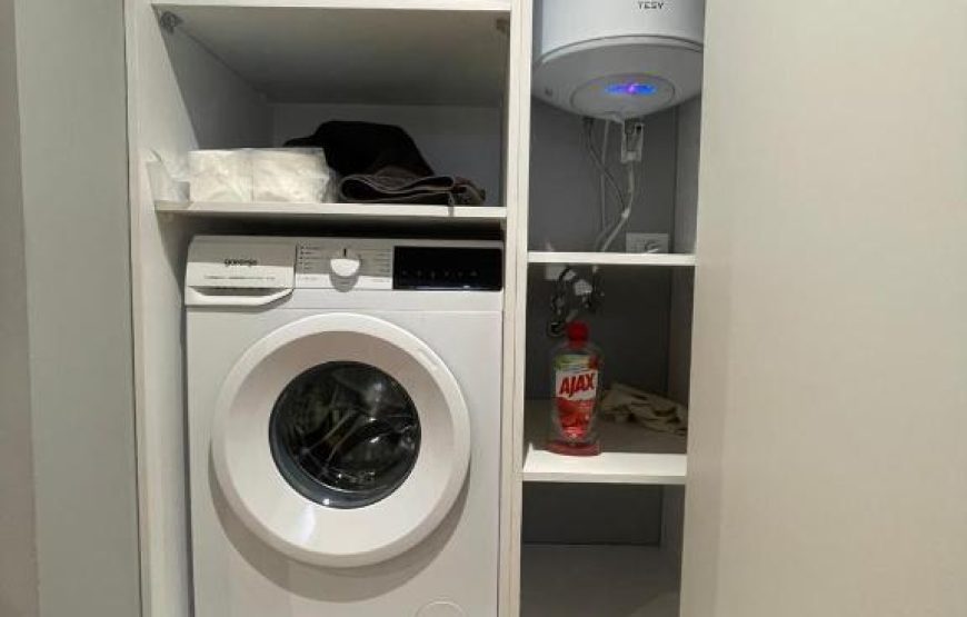 The perfect modern apartament